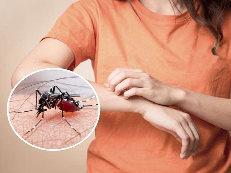 मध्यप्रदेश में बढ़ रहा डेंगू का ख़तरा, स्वास्थ्य विभाग ने किया अलर्ट