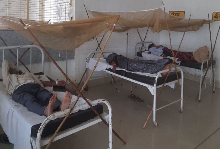 दिल्ली में लगातार बढ़ रही डेंगू के मरीजों की संख्या, अबतक 7100 मामले आए सामने 
