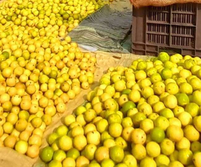  गर्मी में बिगड़ गया नींबू का स्वाद, 200 रुपये किलो पहुंचे दाम 