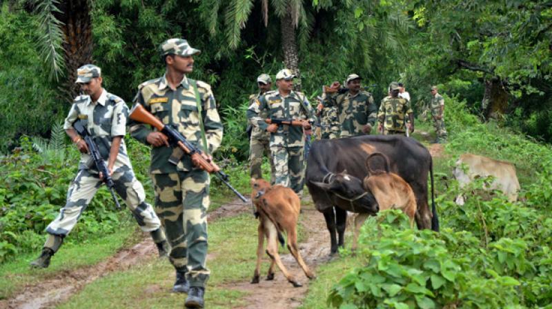 पश्चिम बंगाल में BSF और गौ तस्करों के बीच मुठभेड़, दो बांग्लादेशी घुसपैठिए सहित तीन ढेर 