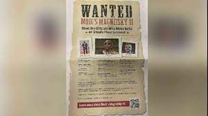  अमेरिकी अखबार में मोदी सरकार के खिलाफ विज्ञापन, वित्त मंत्री को बताया वांटेड